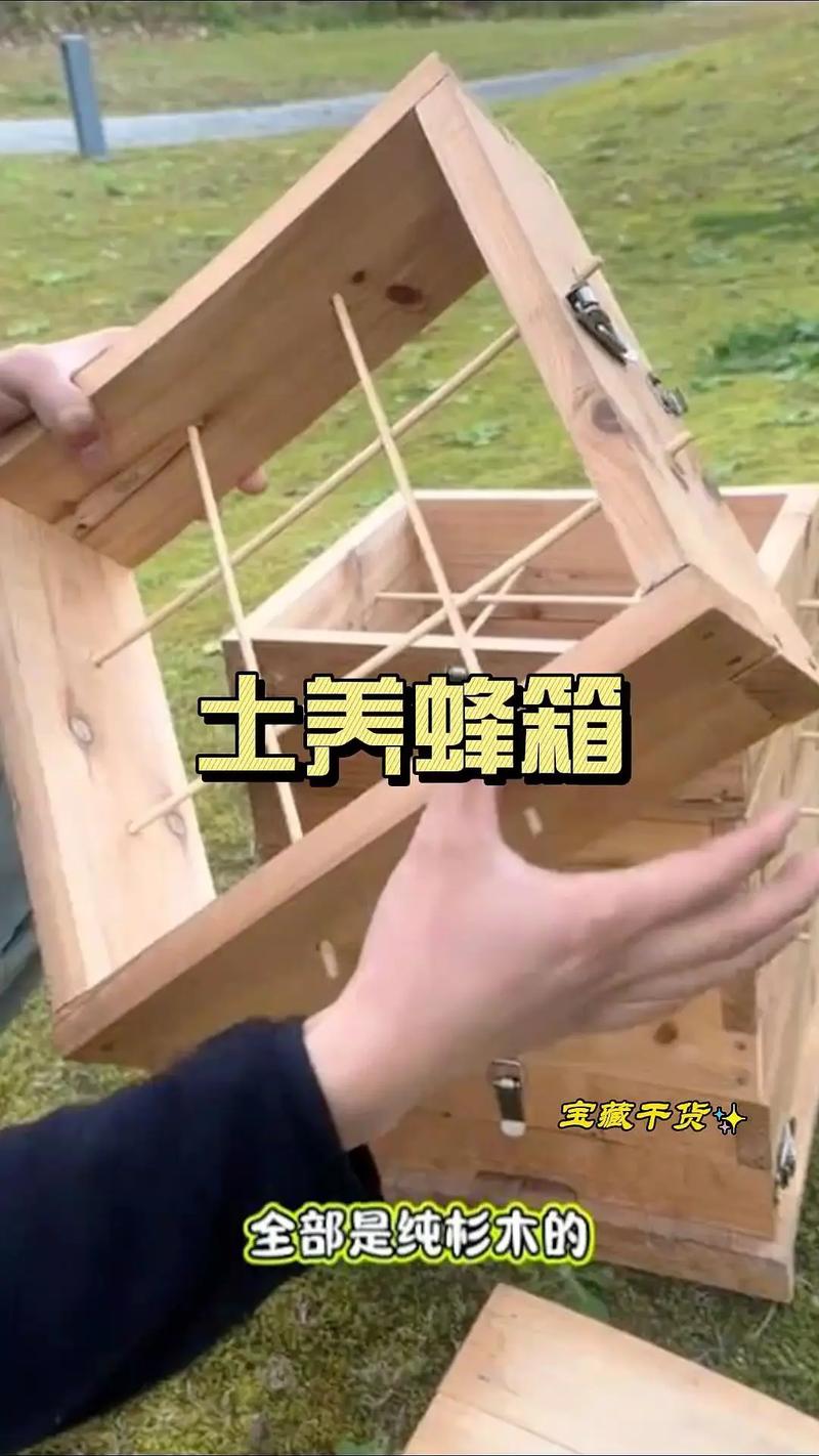 蜜蜂格子箱养殖技术视频要点有哪些？-图2