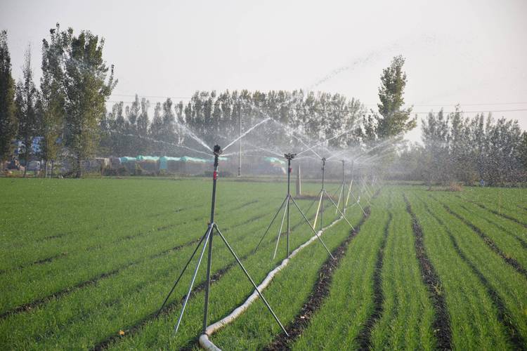 痕量灌溉技术如何实现节水与高效？-图1