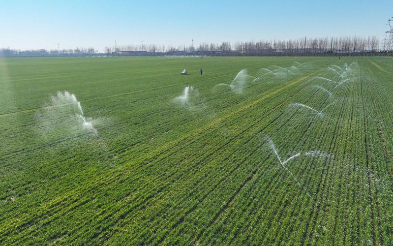 痕量灌溉技术如何实现节水与高效？-图2