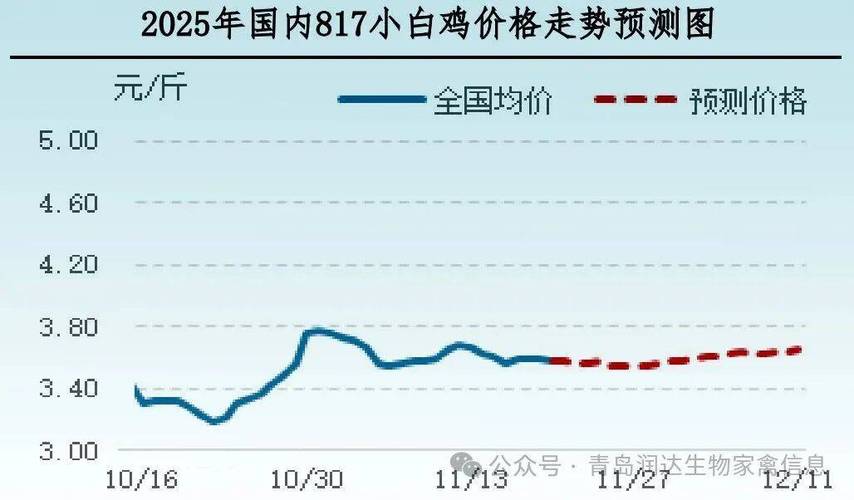 今日817毛鸡价格最新行情如何？-图3