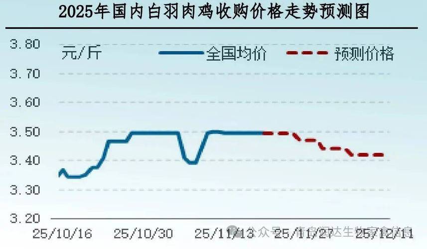 今日817毛鸡价格最新行情如何？-图2