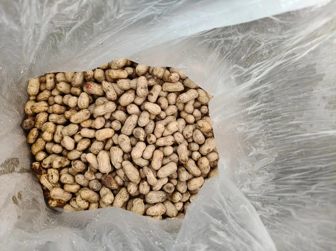 2025花生价格会继续上涨吗?-图3 2025花生价格会继续上涨吗?-图3