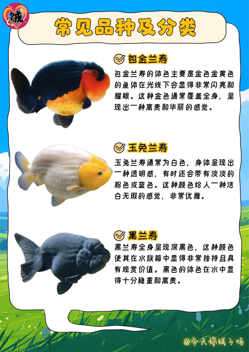 养殖业饲养标准品种可行吗？-图1