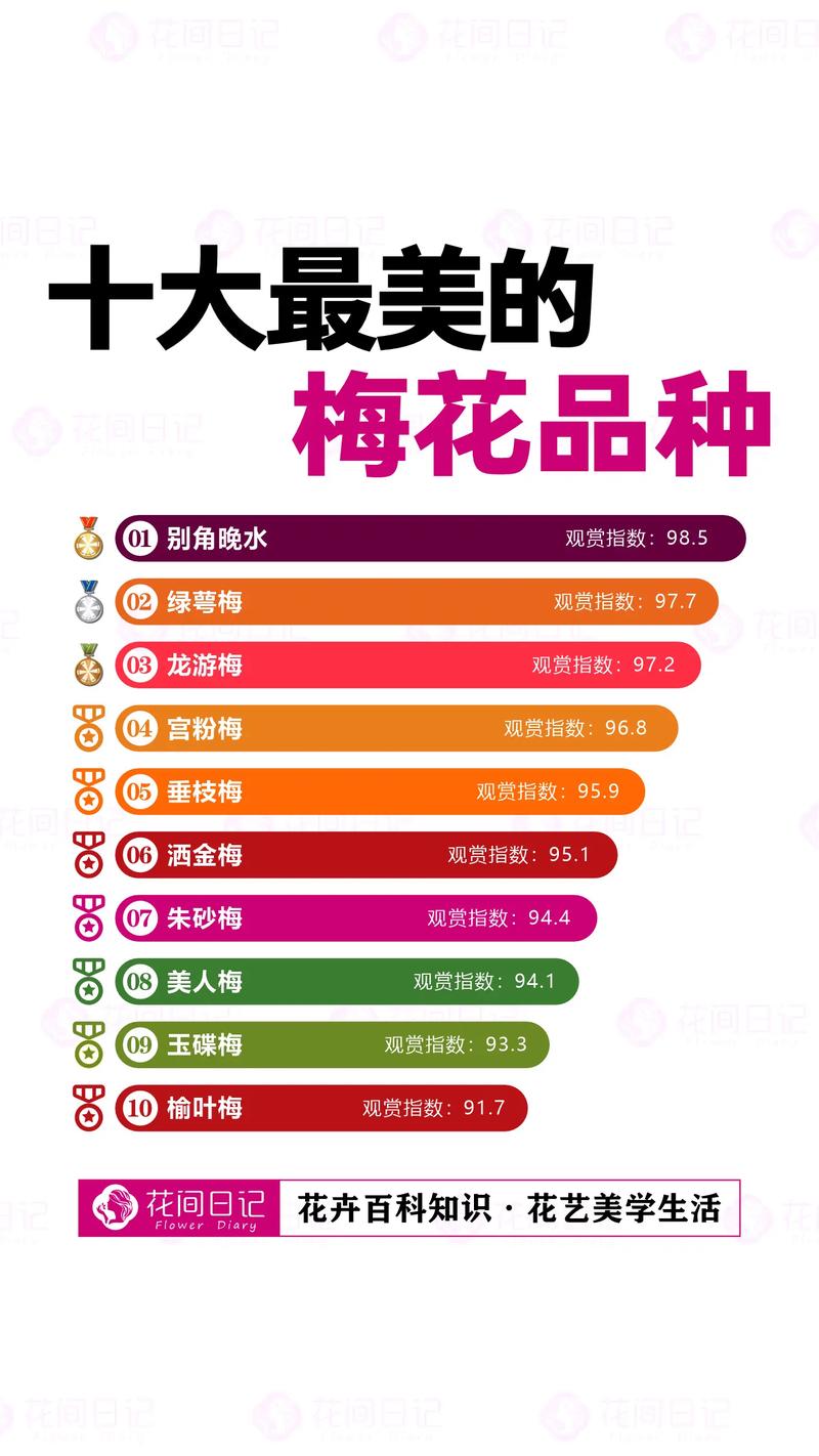 哪种梅花最耐寒？排行榜前三是哪些？-图1