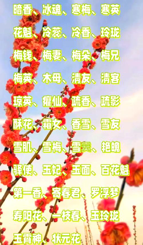 哪种梅花最耐寒？排行榜前三是哪些？-图3