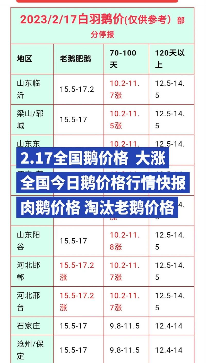 2025年鹅价会涨还是跌？-图1