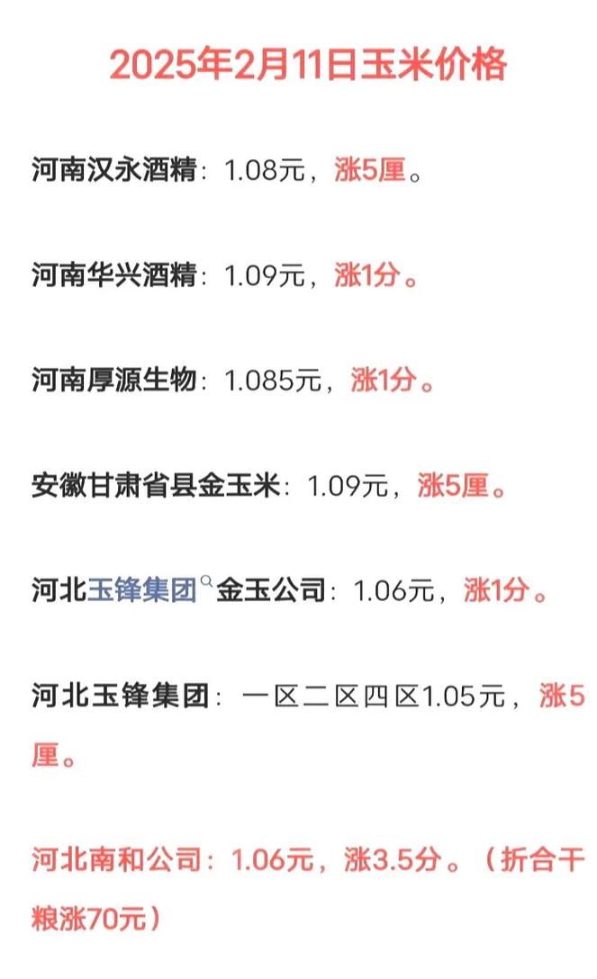 2025年11月玉米价格-图1 2025年11月玉米价格-图1