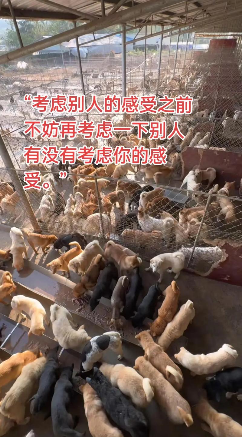 养遍所有肉肉,才算拥有完整春天吗?-图1 养遍所有肉肉,才算拥有完整春天吗?-图1