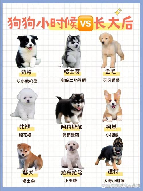 养遍所有肉肉,才算拥有完整春天吗?-图2 养遍所有肉肉,才算拥有完整春天吗?-图2