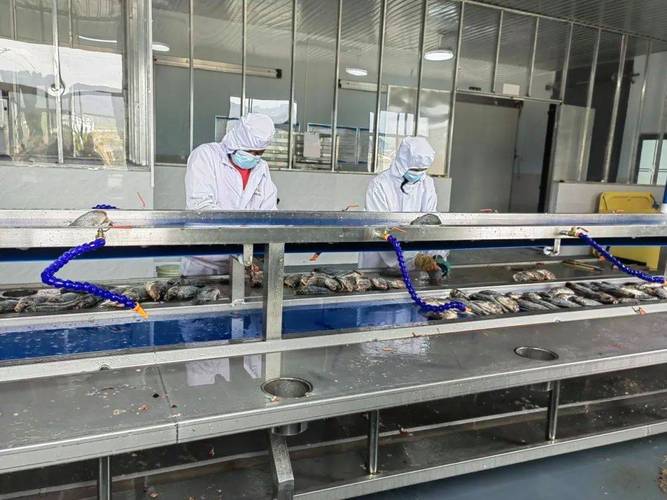 国家罗非鱼产业技术体系如何助力产业升级？-图1