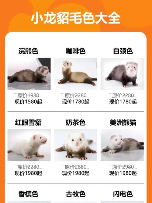 今日水貂皮价格是涨还是跌？-图2