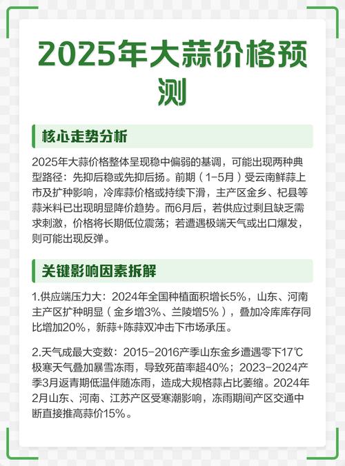 2025年河北鲜蒜价格会涨还是会跌？-图1