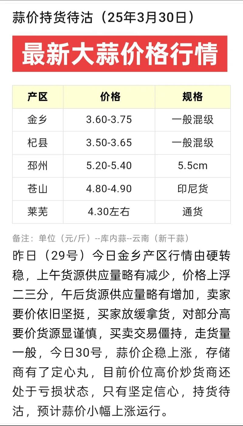 2025年河北鲜蒜价格会涨还是会跌？-图3