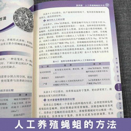 苍蝇蛆养殖技术关键步骤有哪些?-图1 苍蝇蛆养殖技术关键步骤有哪些?-图1