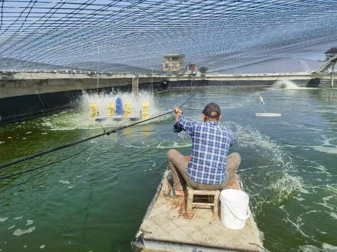 福建哪里能学靠谱的养殖技术？-图1