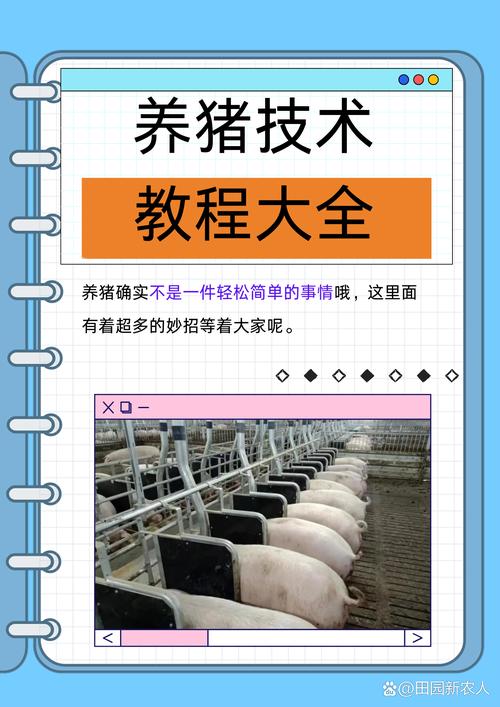 养猪视频技术要点有哪些？-图2