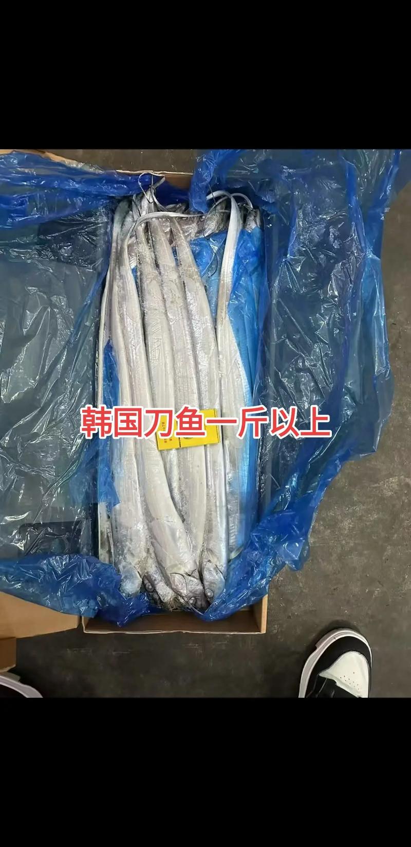 2025年长江刀鱼价格会涨还是跌？-图3