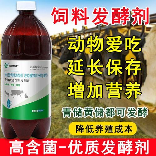 发酵青饲料养猪视频,技术要点有哪些?-图3 发酵青饲料养猪视频,技术要点有哪些?-图3