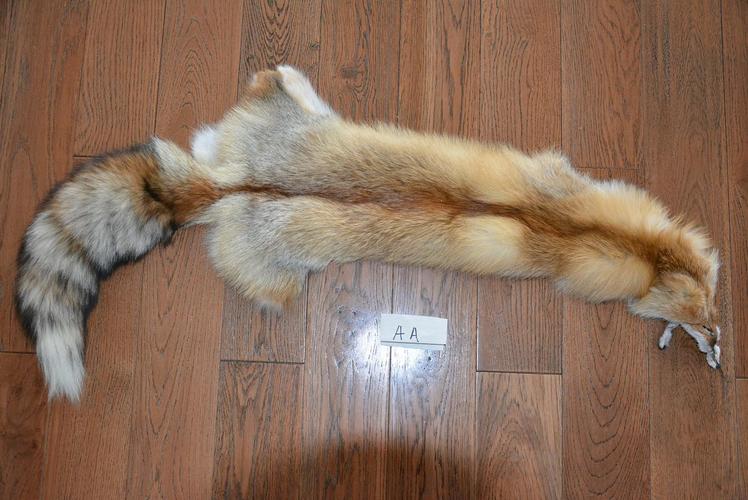 2025年银霜狐皮价格会涨还是跌？-图2