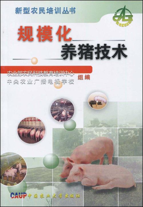 规模养猪关键技术环节有哪些？-图1