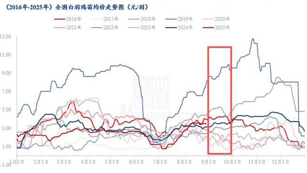 2025年鸡价会涨还是会跌？-图3