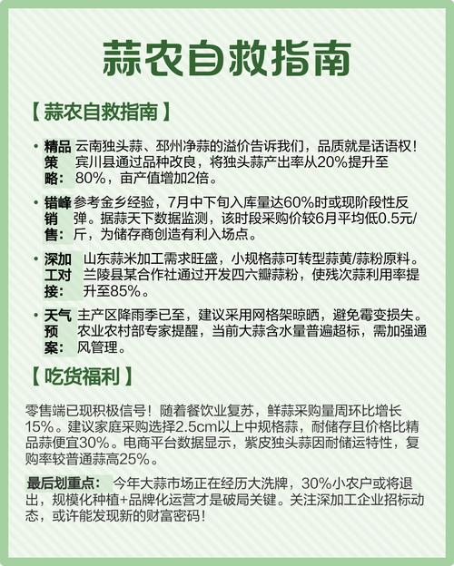 2025年蒜片最新价格多少钱一斤?-图1 2025年蒜片最新价格多少钱一斤?-图1