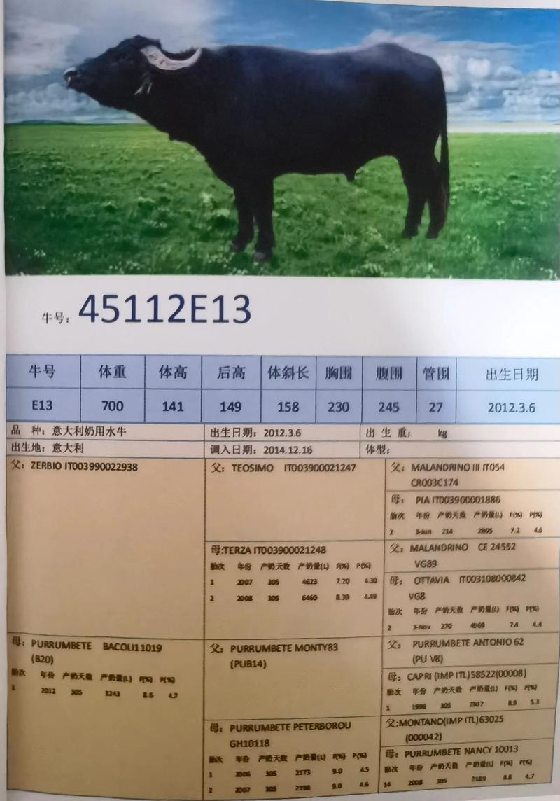 重庆2025年活牛价格会涨还是会跌?-图3 重庆2025年活牛价格会涨还是会跌?-图3