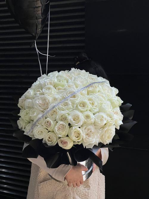 哪些白玫瑰品种既好看又好养？-图2