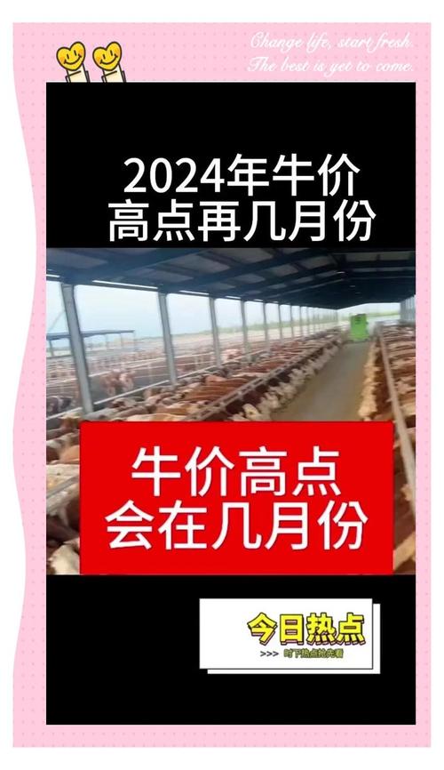 2025年黄牛价格为何下降？-图1