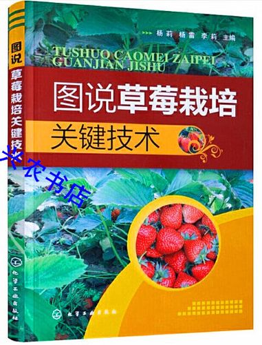 大棚草莓种植管理技术有哪些要点？-图1