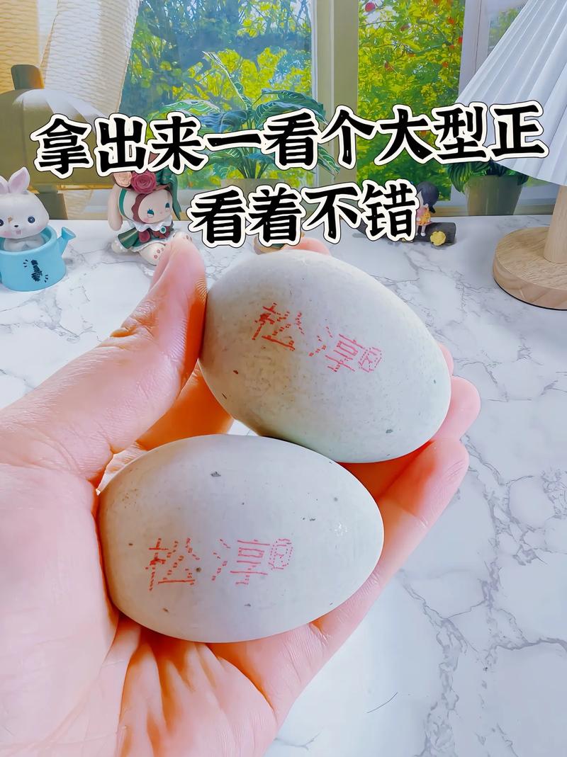 湖北鸭蛋现在多少钱一斤？-图2