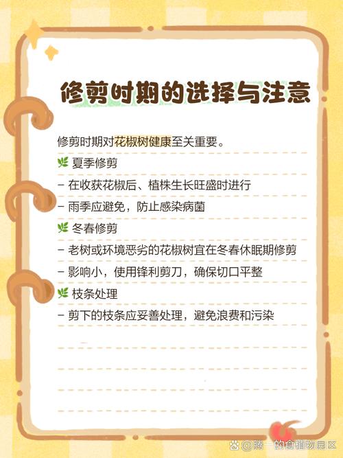 花椒栽培管理有哪些关键技术要点？-图3