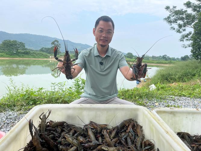 潜江金养龙虾技术如何实现卓越？-图3