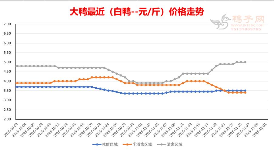 2025年今日毛鸭价格多少钱一斤？-图3