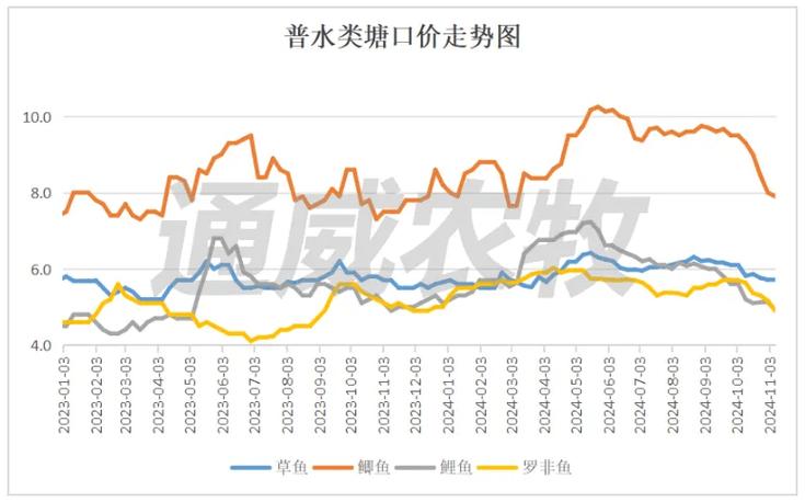 北京罗非鱼价格行情将如何变化?-图1 北京罗非鱼价格行情将如何变化?-图1