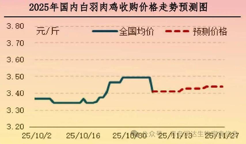 2025广西鸡价行情走势如何？-图2