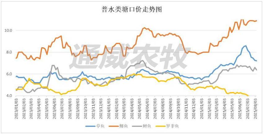 今日罗非鱼价格行情走势如何?-图1 今日罗非鱼价格行情走势如何?-图1