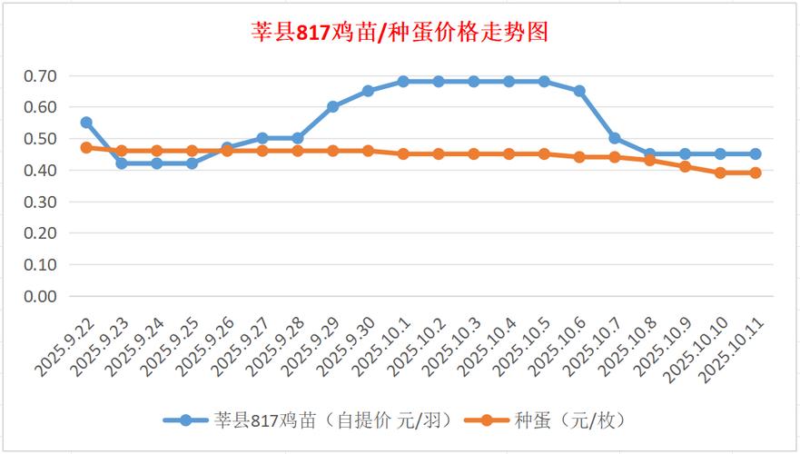 817鸡苗今日价格多少钱？-图1