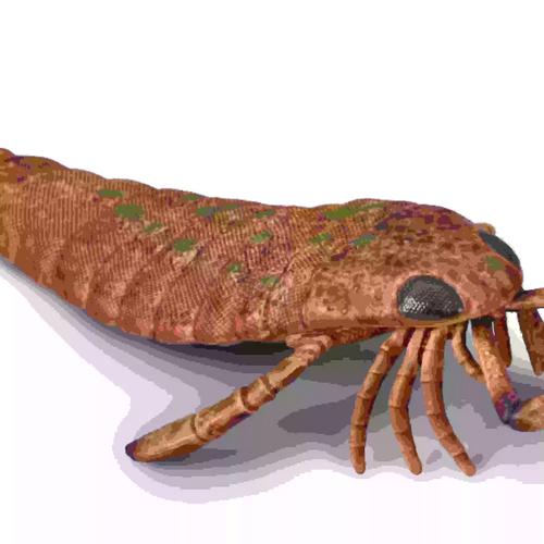 2025山西蝎子价格表最新行情如何？-图1