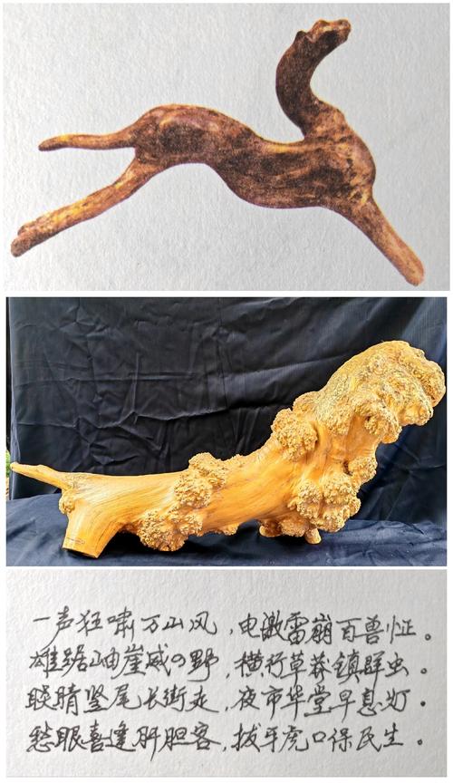 根雕制作技术视频大全集,如何快速掌握核心技巧?-图1 根雕制作技术视频大全集,如何快速掌握核心技巧?-图1