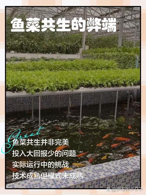 2025生鱼养殖技术如何突破？-图3