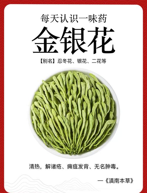 金银花品种怎么辨正宗？-图2