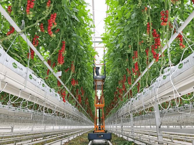 农业养殖科技技术有哪些-图1