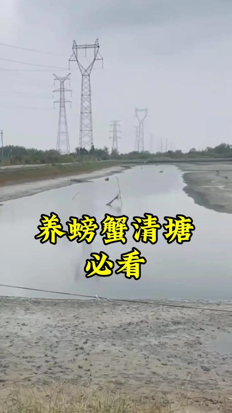 水塘养殖螃蟹技术与方法-图1 水塘养殖螃蟹技术与方法-图1