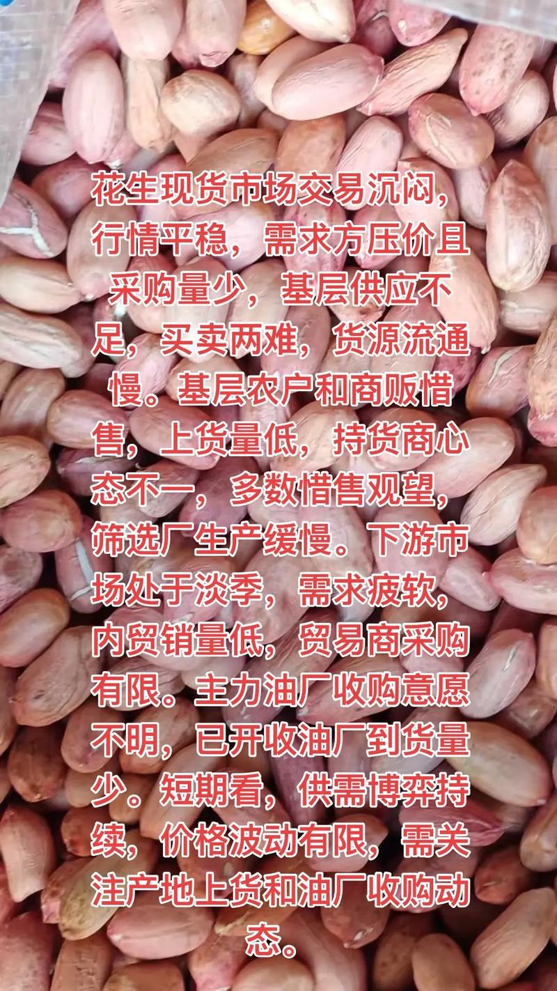 今年新花生价格预测分析-图2