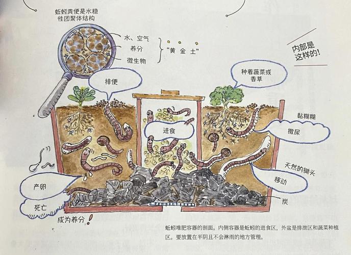 污泥木屑养蚯蚓，安全高效吗？-图1