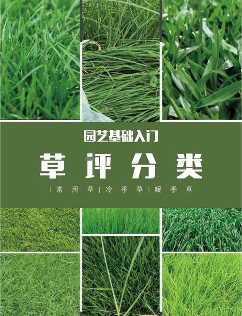 新草品种需经哪些省份审定？-图1