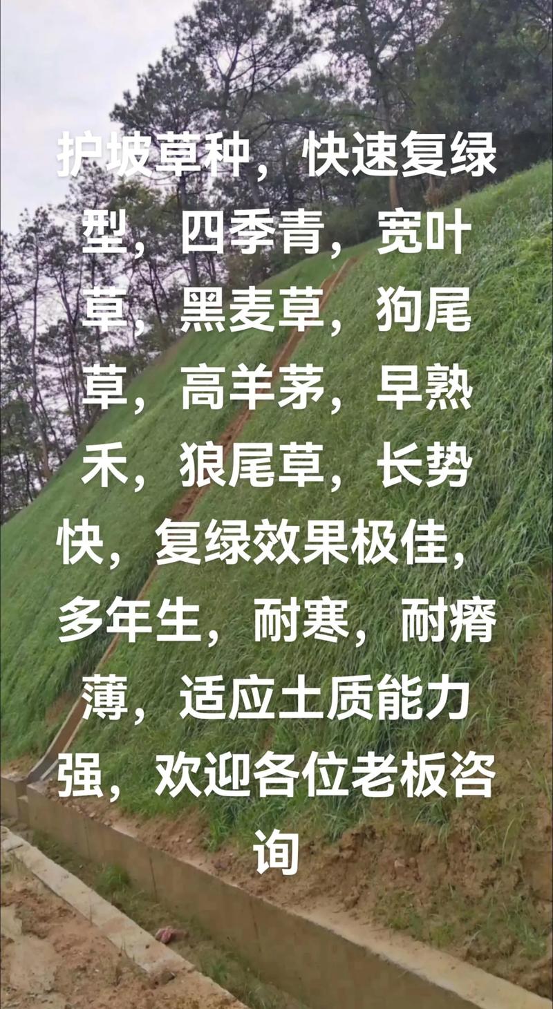 新草品种需经哪些省份审定？-图3