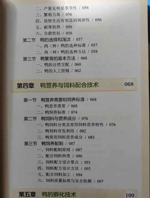 大棚养鸭技术培训PPT核心要点有哪些？-图1