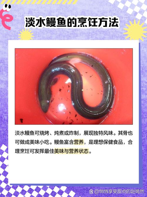 海南淡水鳗鱼养殖技术有哪些关键要点？-图1